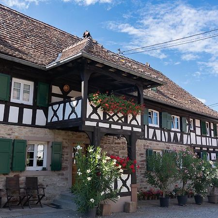Chambres D'Hotes De Charme A La Ferme Freysz Quatzenheim Экстерьер фото