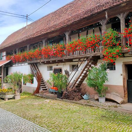 Chambres D'Hotes De Charme A La Ferme Freysz Quatzenheim Экстерьер фото