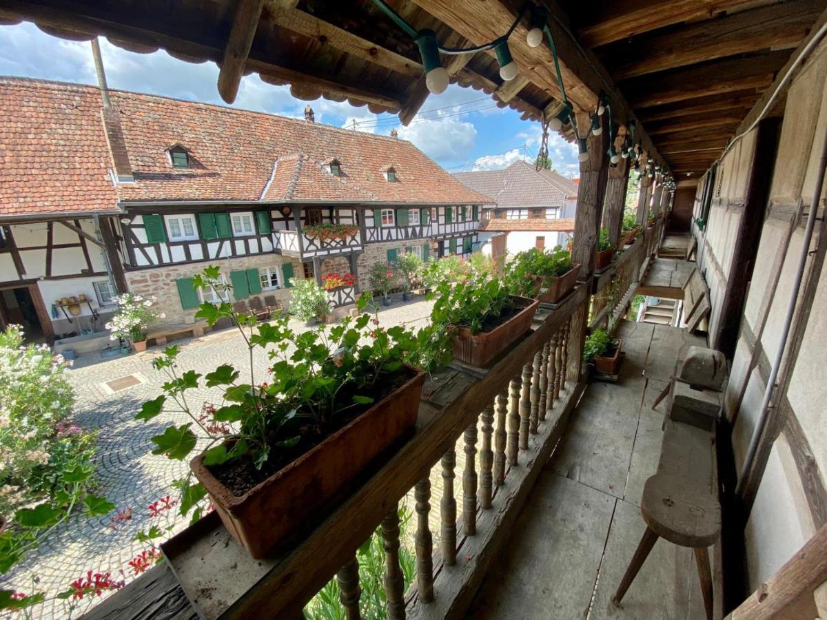 Chambres D'Hotes De Charme A La Ferme Freysz Quatzenheim Экстерьер фото