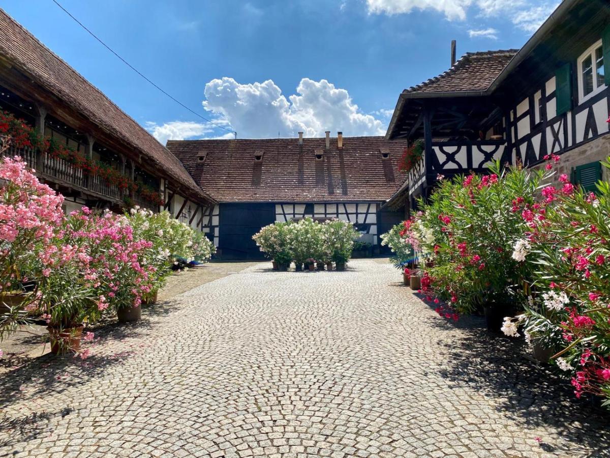 Chambres D'Hotes De Charme A La Ferme Freysz Quatzenheim Экстерьер фото