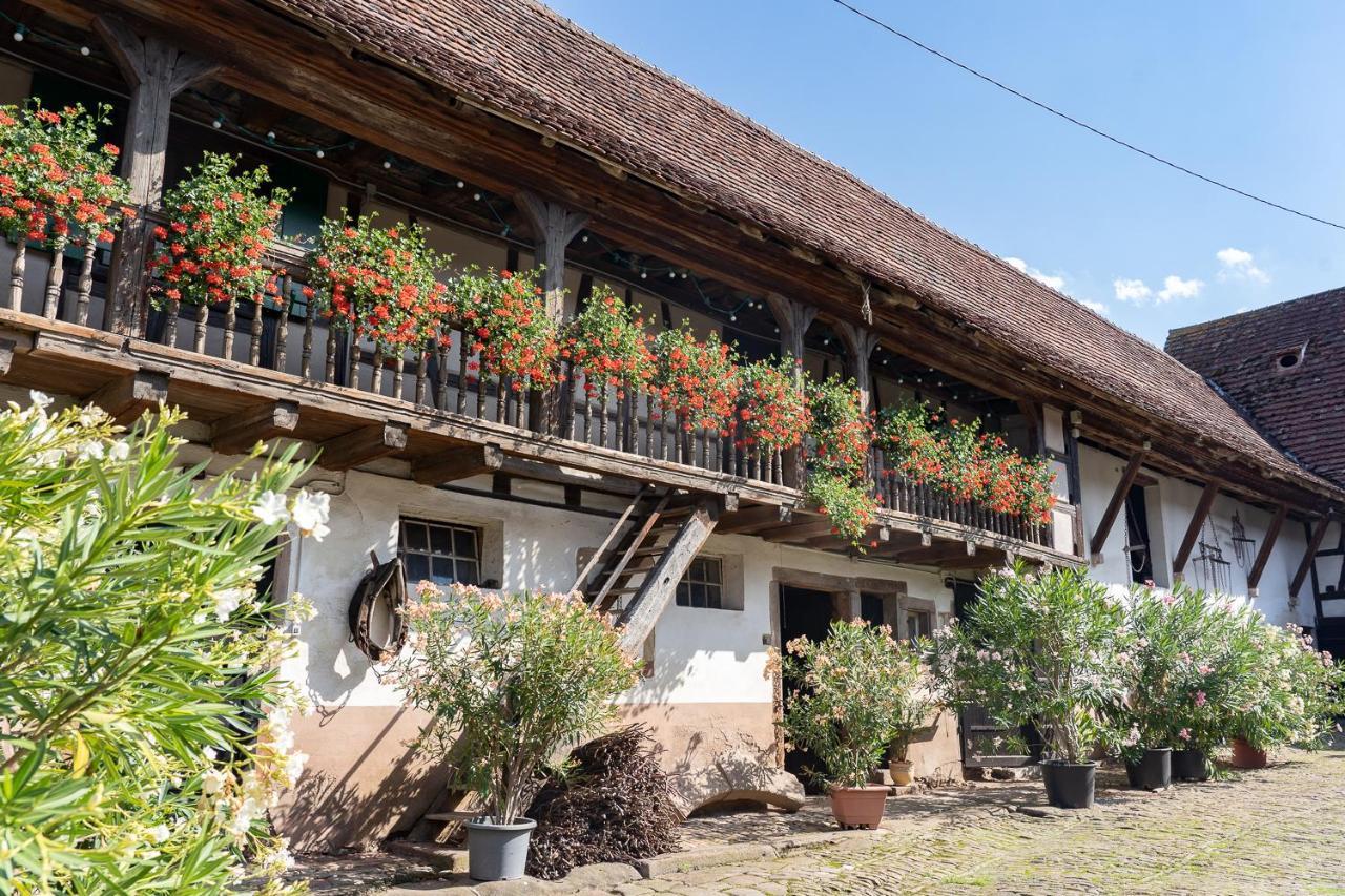 Chambres D'Hotes De Charme A La Ferme Freysz Quatzenheim Экстерьер фото