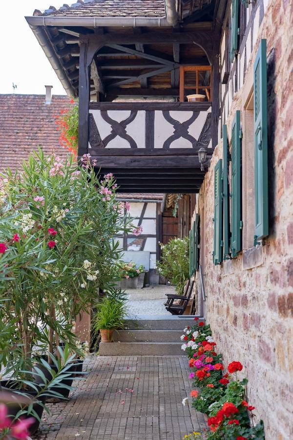 Chambres D'Hotes De Charme A La Ferme Freysz Quatzenheim Экстерьер фото