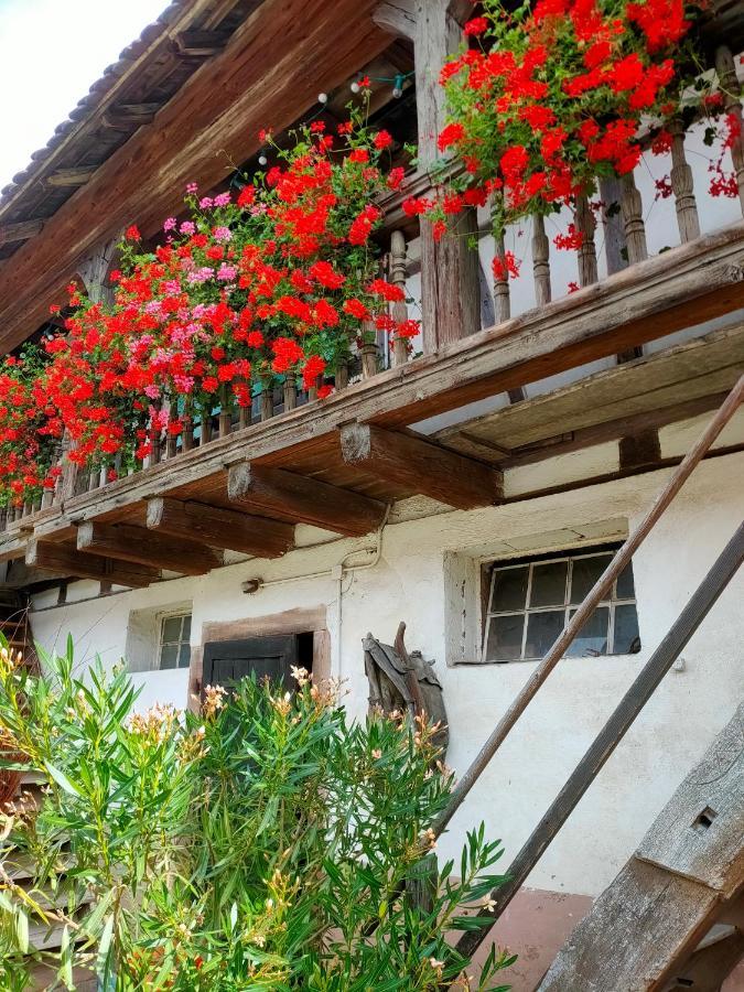 Chambres D'Hotes De Charme A La Ferme Freysz Quatzenheim Экстерьер фото