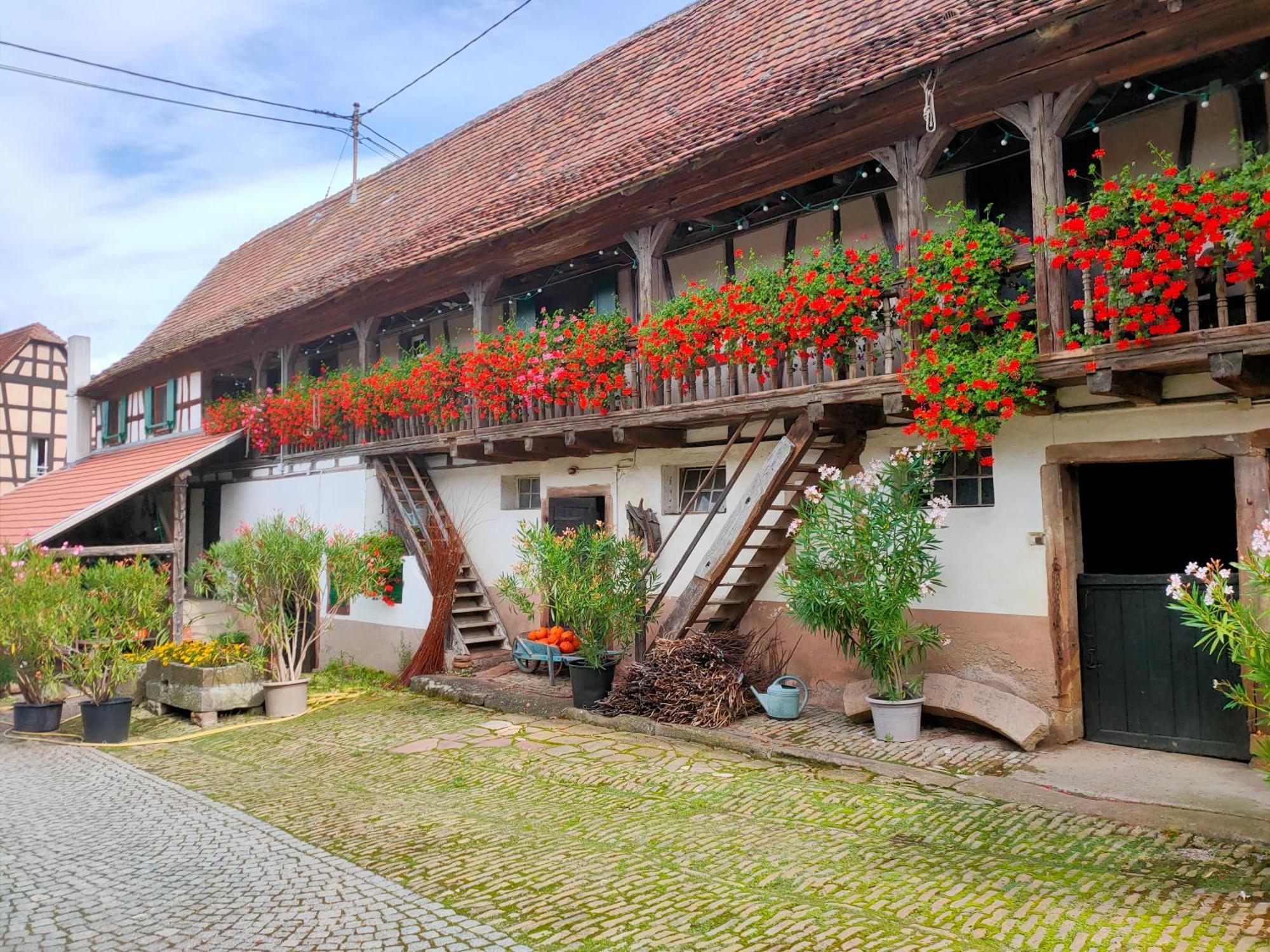 Chambres D'Hotes De Charme A La Ferme Freysz Quatzenheim Экстерьер фото